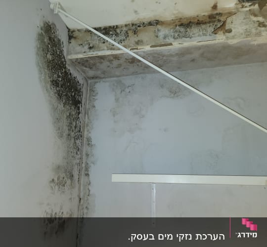 עובש על קיר ותקרה בחדר
